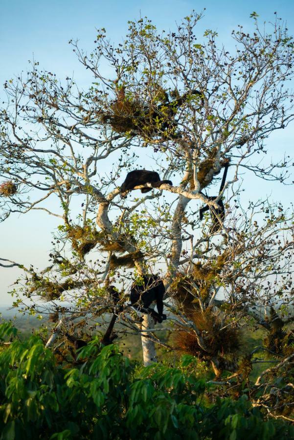 Ecolodge El Sombrero Laguna Yaxha Ngoại thất bức ảnh
