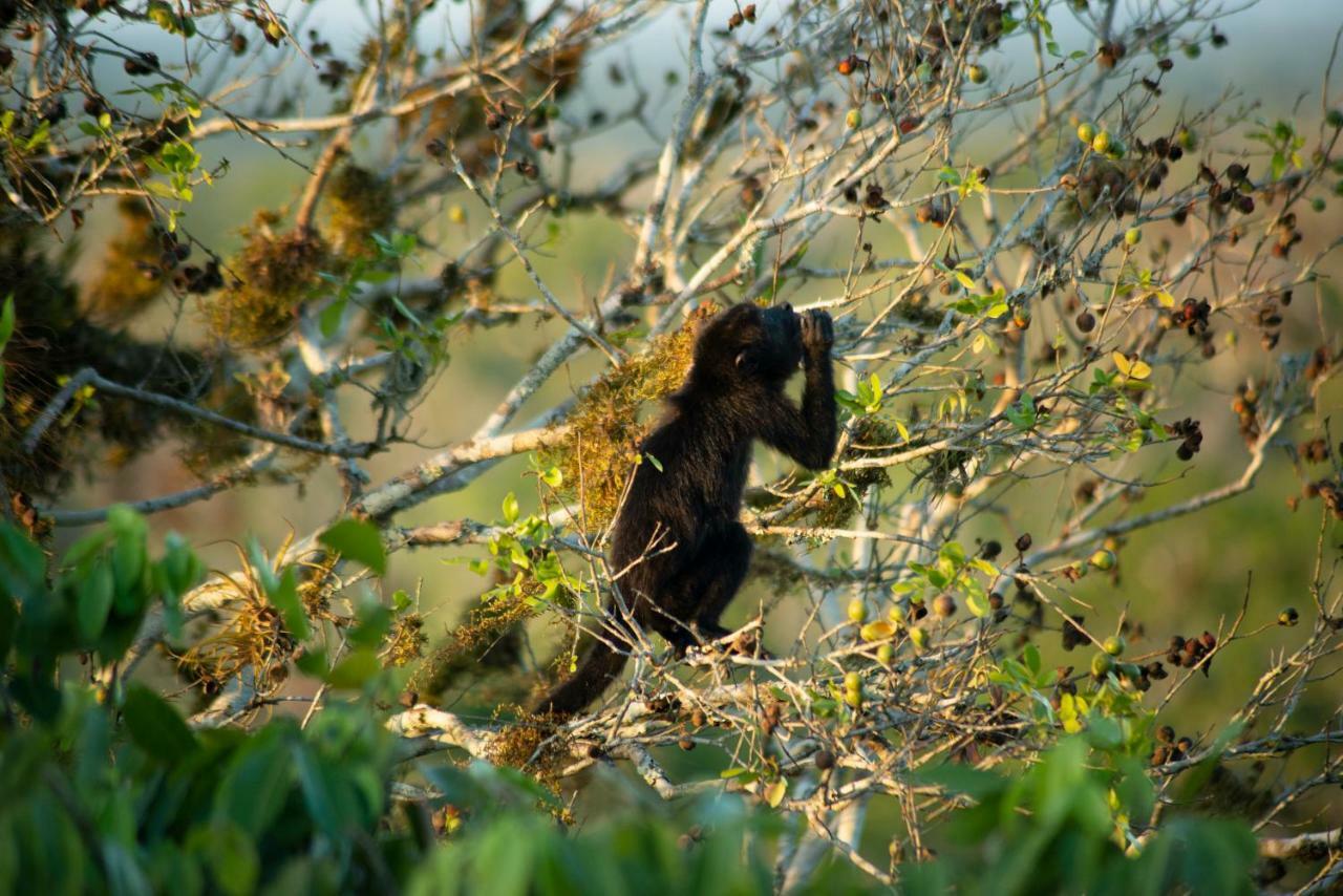 Ecolodge El Sombrero Laguna Yaxha Ngoại thất bức ảnh